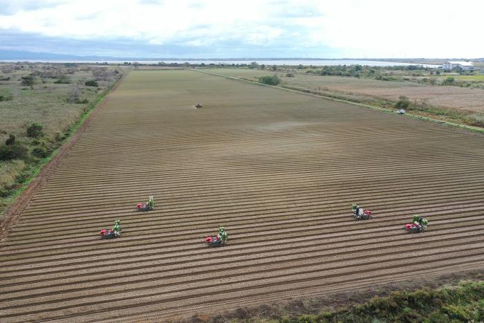 ワンダーのトピックス